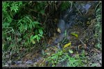 IMG_0455