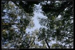 IMG_0476