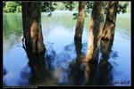 IMG_0482