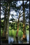 IMG_0485