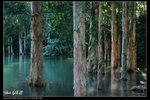 IMG_0492