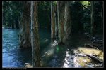 IMG_0533