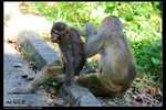 IMG_0548