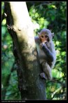 IMG_0557