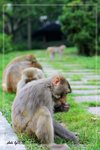 IMG_0780