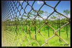 IMG_9990