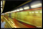 IMG_1015