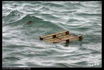 IMG_1038