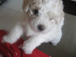 Hello~!~!My name is Tamama~!~