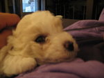 laying on my father's chest~~! wowow