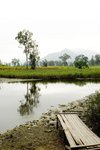 IMG_4815