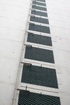 IMG_0055