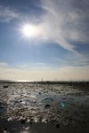IMG_7085