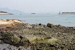 IMG_4851