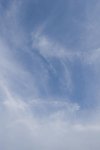 IMG_4893