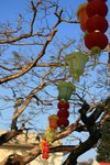 IMG_9733