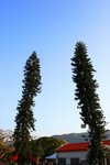 IMG_9743