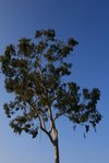 IMG_9744