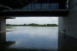 IMG_7564