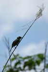 IMG_7578