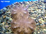 DSCF2053