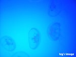 DSCF2054