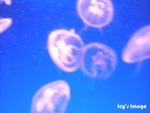 DSCF2056