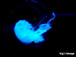 DSCF2065