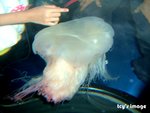 DSCF2069