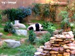 DSCF2073