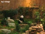 DSCF2076
