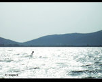 R0011324
