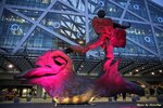 IMG_9111
