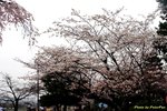 IMG_0160