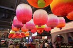 IMG_7354