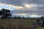 IMG_2148