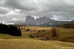 IMG_8577-001
