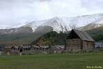 IMG_1811