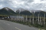 IMG_3007 (1)