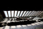 IMG_7175