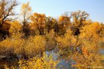 IMG_8402