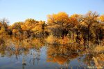 IMG_8406