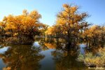 IMG_8421