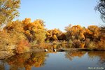 IMG_8431