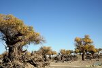 IMG_8628