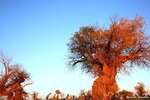 IMG_8692-001