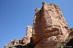 IMG_7953