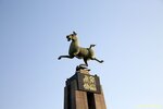 IMG_7878