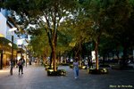 IMG_9621