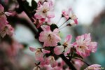 IMG_0408